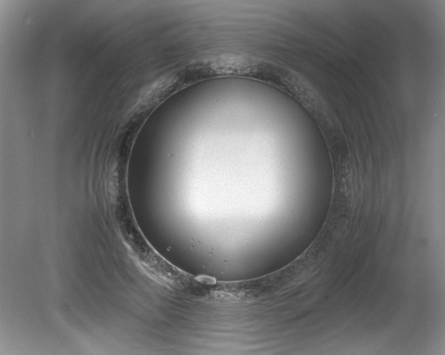 X0000081570690200701221053