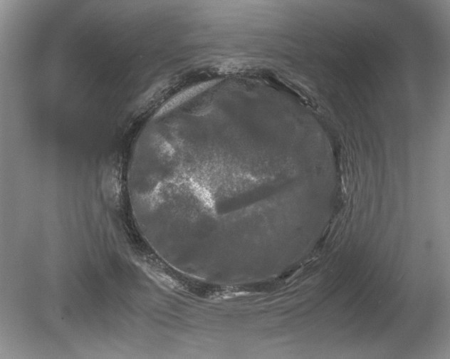 X0000081570691200701221053