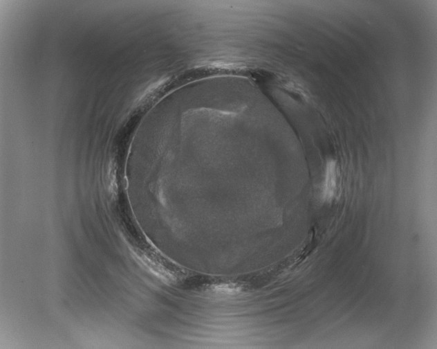 X0000081570692200701221053