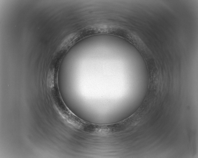 X0000081570694200701221053