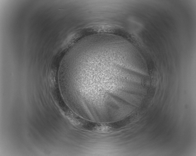 X0000081570695200701221053