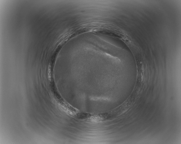 X0000081570696200701221053