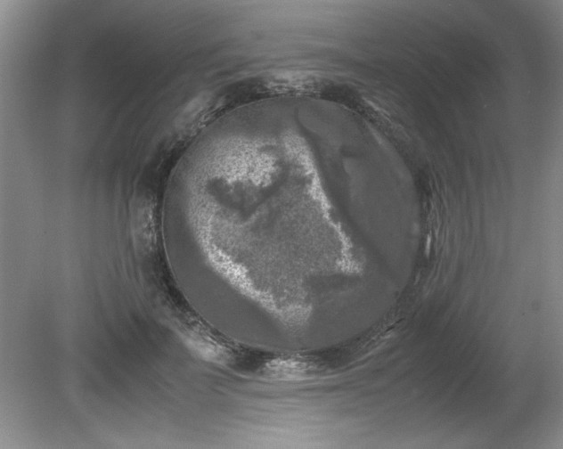 X0000081570699200701221053