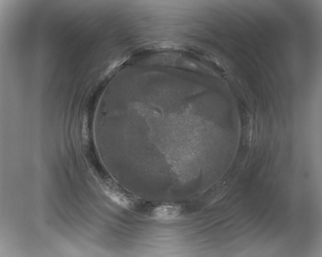 X0000081570700200701221053