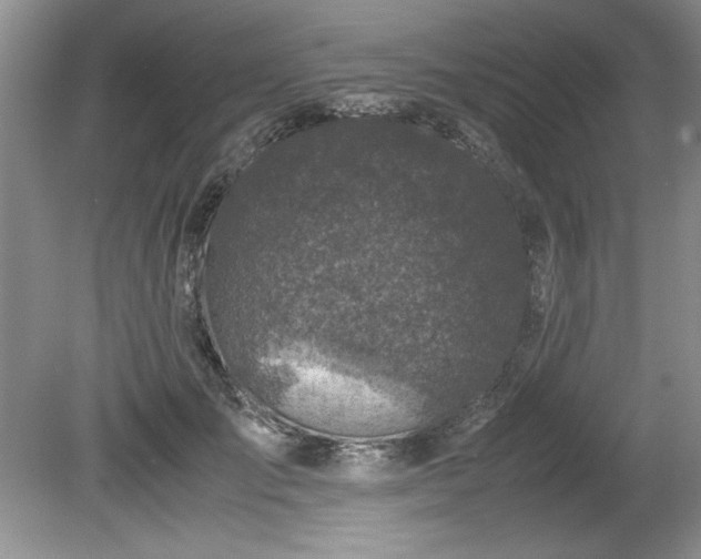 X0000081570701200701221053