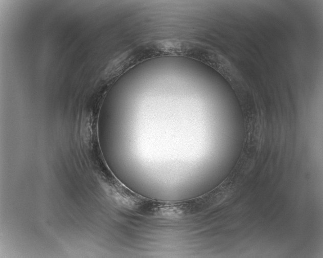 X0000081570702200701221053