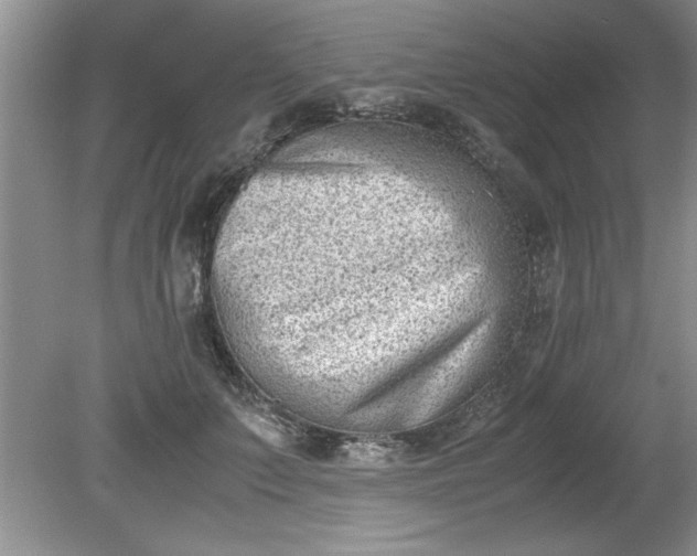 X0000081570703200701221053