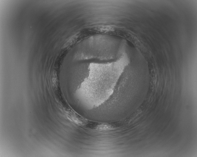 X0000081570704200701221053