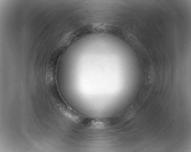 X0000081570706200701221053