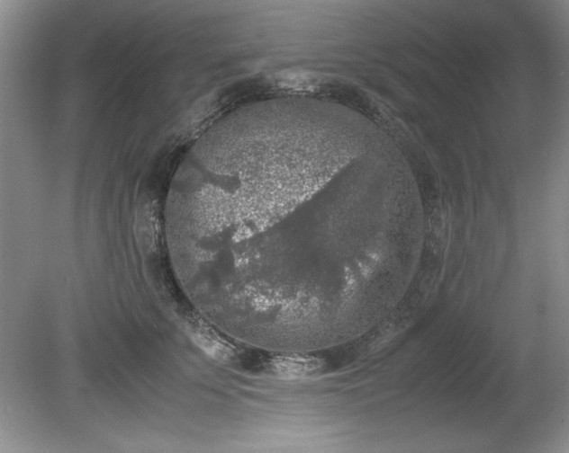 X0000081570707200701221053