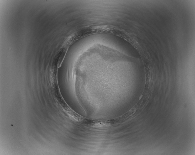 X0000081570708200701221053