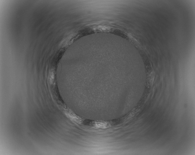 X0000081570709200701221053