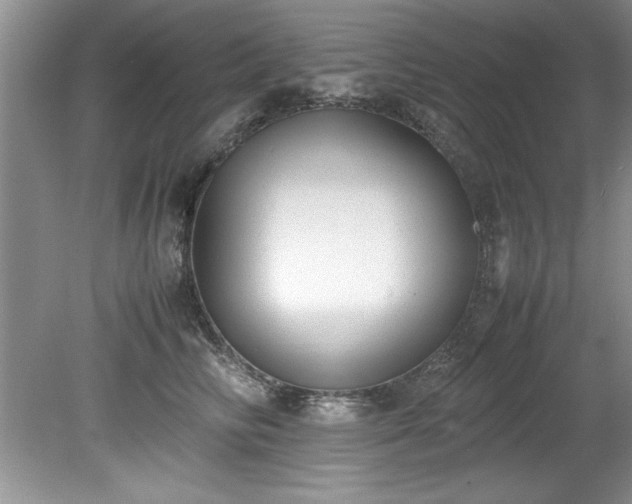 X0000081570710200701221053