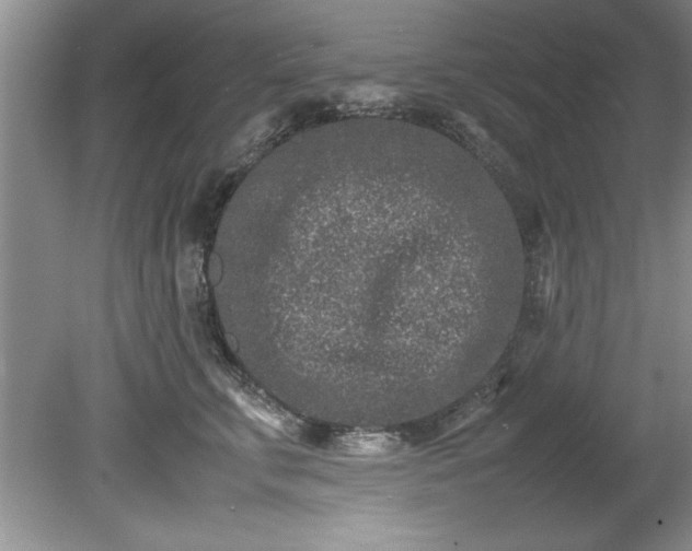 X0000081570711200701221053