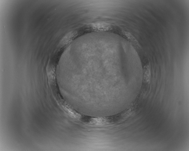 X0000081570713200701221053