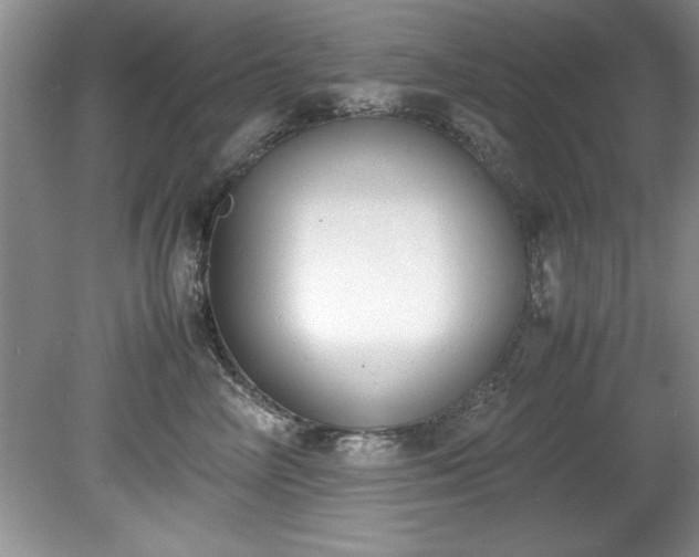 X0000081570714200701221053