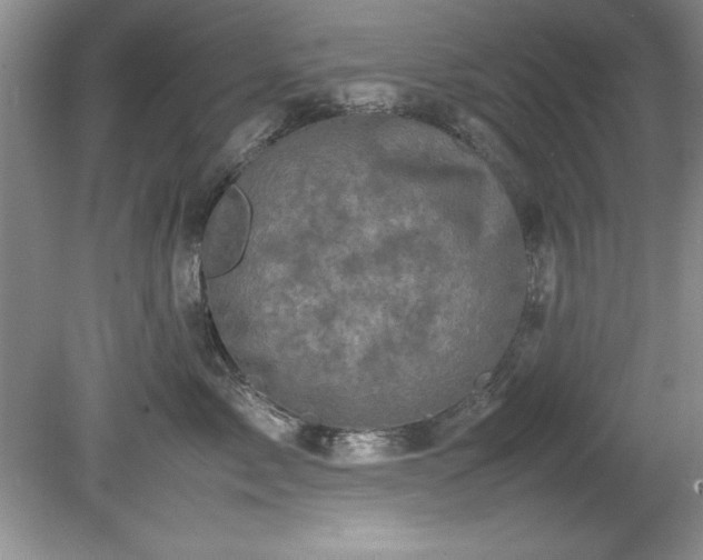 X0000081570717200701221053