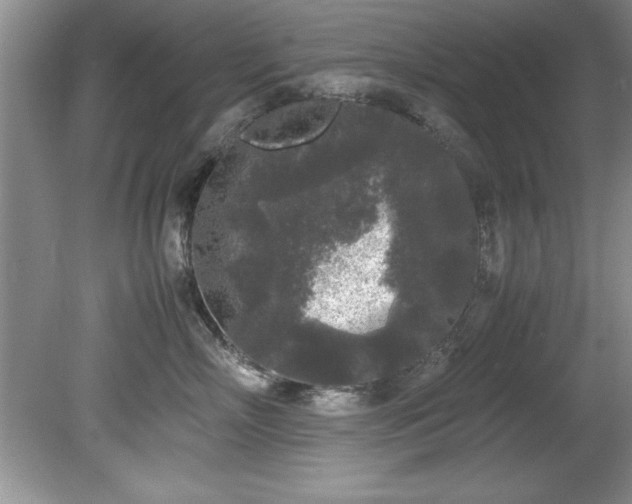 X0000081570718200701221053