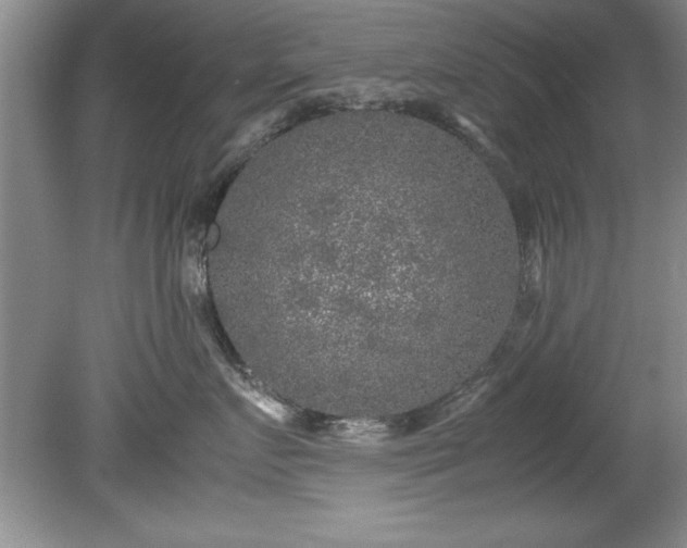 X0000081570719200701221053