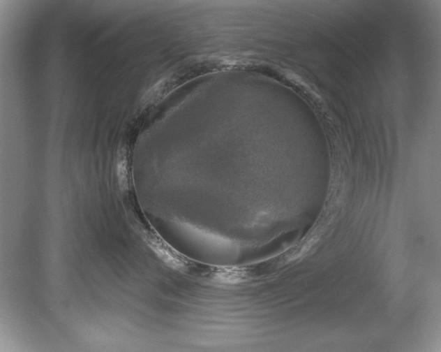 X0000081570720200701221053