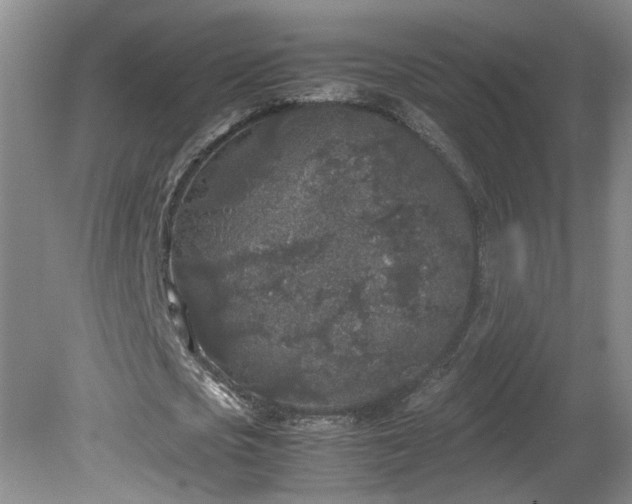 X0000081570721200701221052