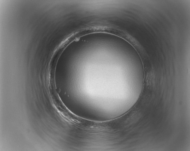 X0000081570722200701221052