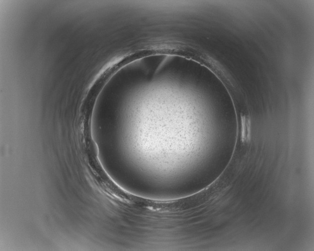 X0000081570723200701221052