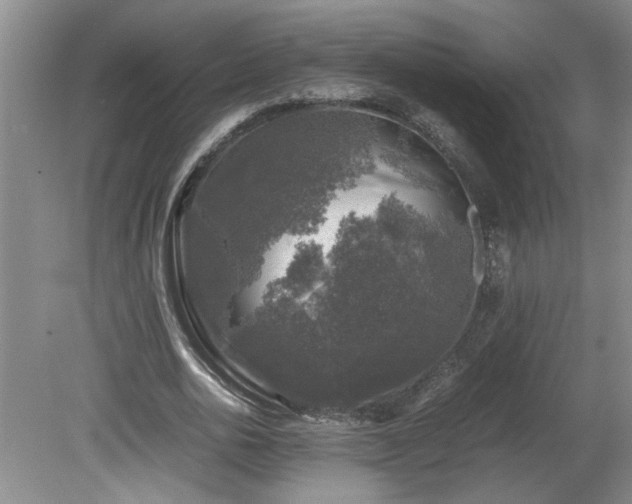 X0000081570726200701221052