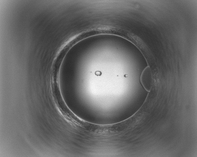 X0000081570728200701221052