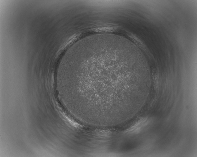 X0000081570729200701221052