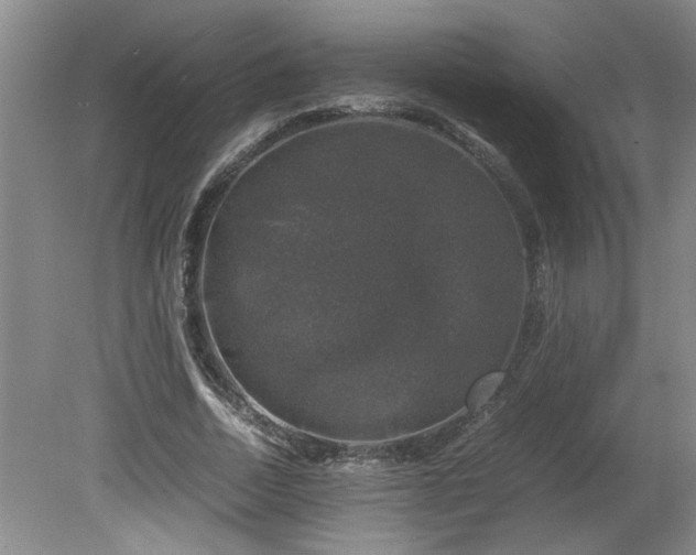 X0000081570730200701221052