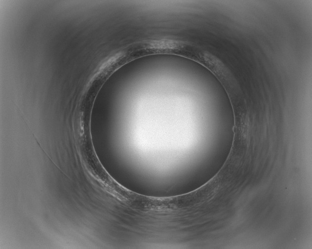 X0000081570731200701221052