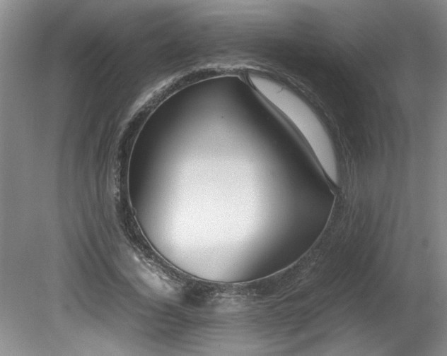 X0000081570732200701221052