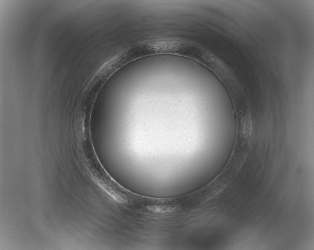 X0000081570733200701221052