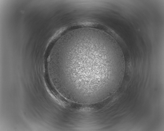 X0000081570734200701221052