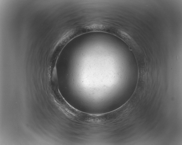 X0000081570735200701221052