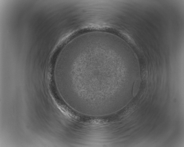 X0000081570736200701221052