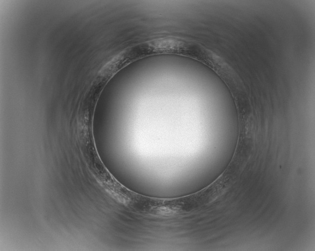 X0000081570737200701221052