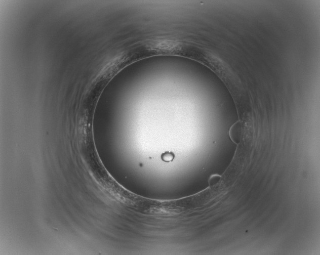 X0000081570739200701221052