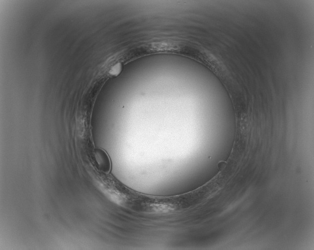 X0000081570741200701221052