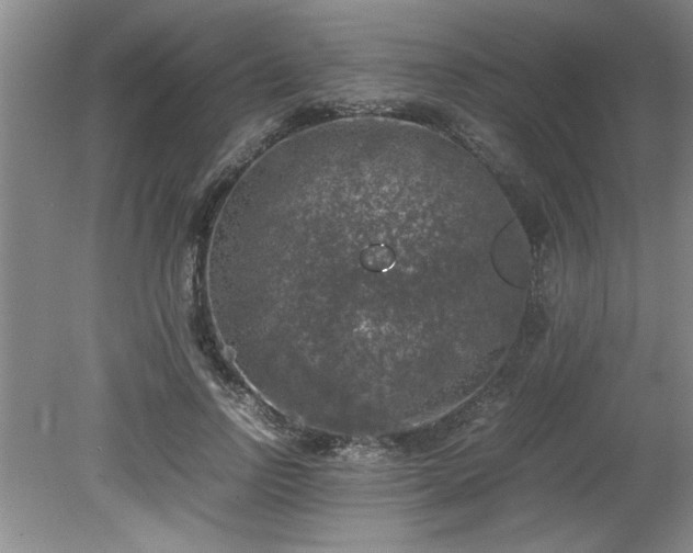 X0000081570742200701221052