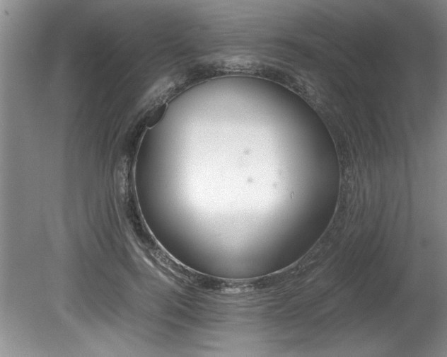 X0000081570744200701221052