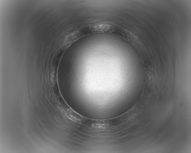 X0000081570745200701221052