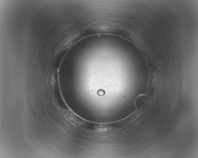 X0000081570746200701221052