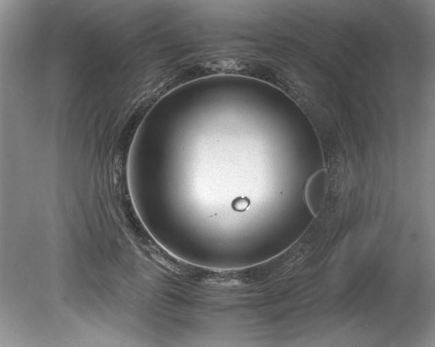 X0000081570747200701221052