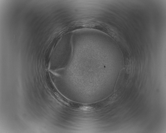 X0000081570748200701221052