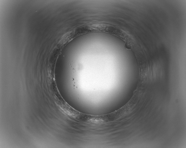 X0000081570749200701221052