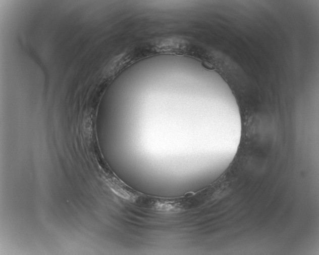 X0000081570753200701221052