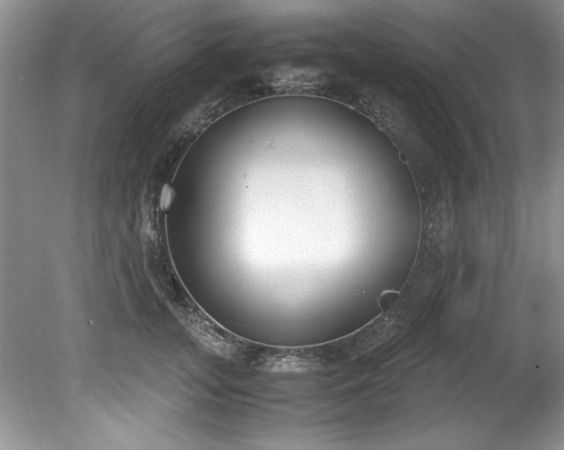 X0000081570755200701221052