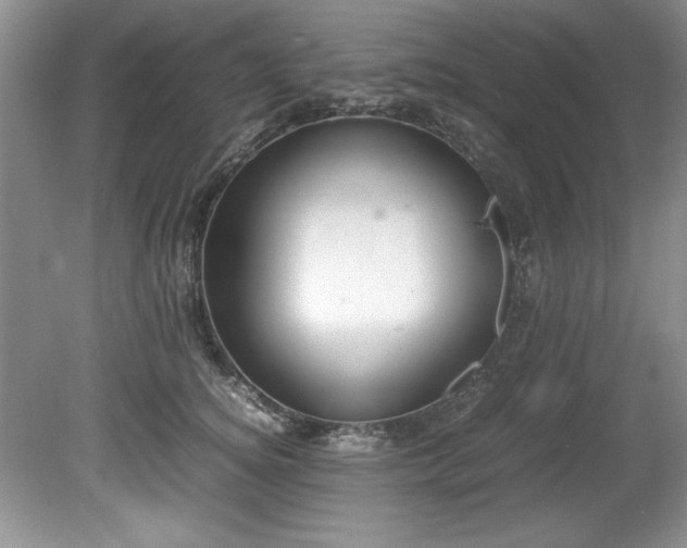 X0000081570756200701221052